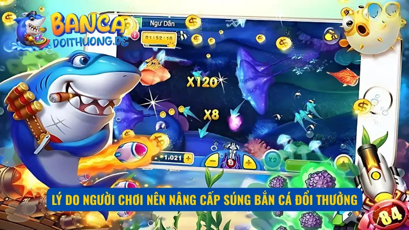 Những lý do người chơi nên nâng cấp súng bắn cá